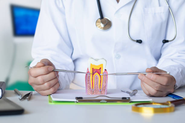 Best Emergency Tooth Extraction  in Woodland Park, NE